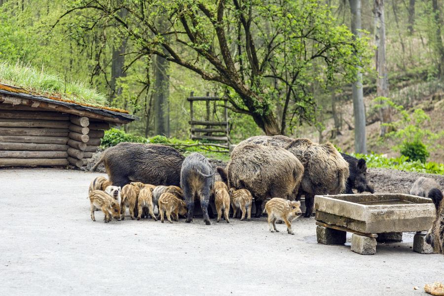 杜塞爾多夫天然公園