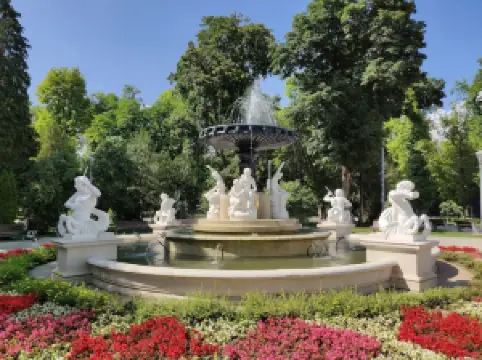 Central Park Simion Bărnuțiu