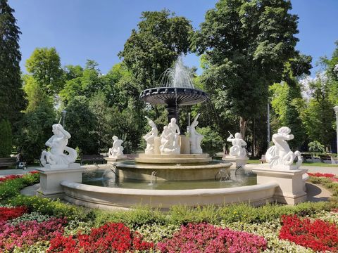Central Park Simion Bărnuțiu