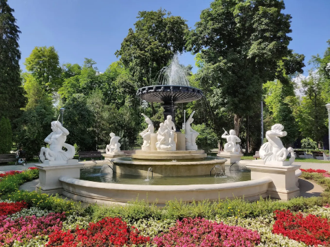 Central Park Simion Bărnuțiu