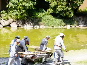 Chishui River Valley National Tourist Resort (Sidu Chishui Immersive Experience Park)