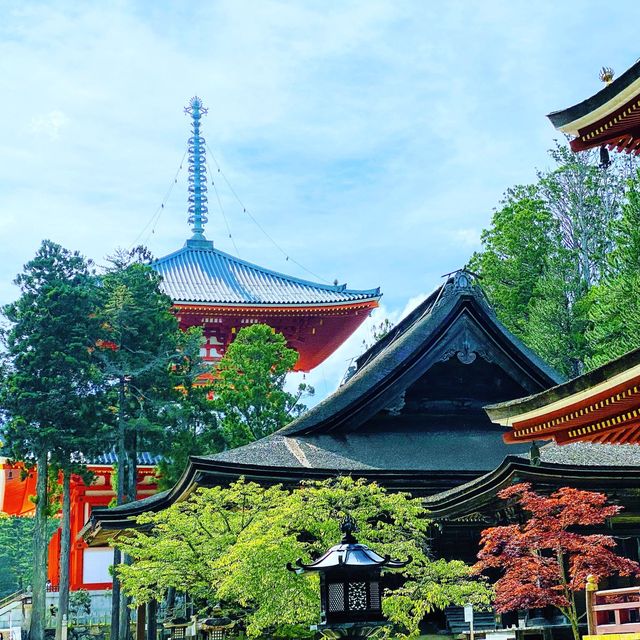 高野山真言宗　総本山金剛峯寺　