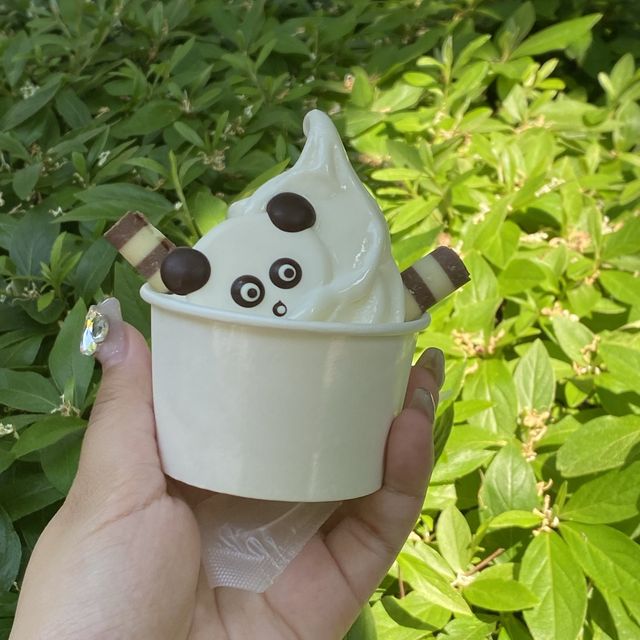 장미 가득한 에버랜드