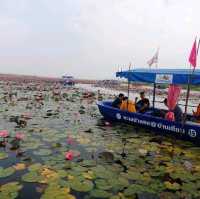 ทะเลบัวแดง ที่บึงหนองหาน
