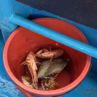 [제주도 이호테우 배낚시]
