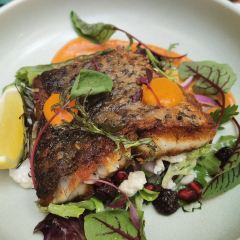 THE GROUNDS OF THE CITY User Photo