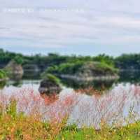แกรนด์​แค​นย​่​อน​เมืองบุรีรัมย์