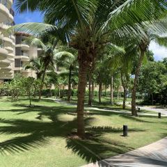 The Westin Shimei Bay Resort·Coast Barbeque Restaurant User Photo