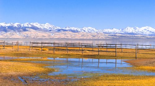 Qinghai Husha Island