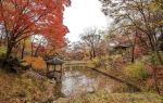 Changdeokgung Secret Garden