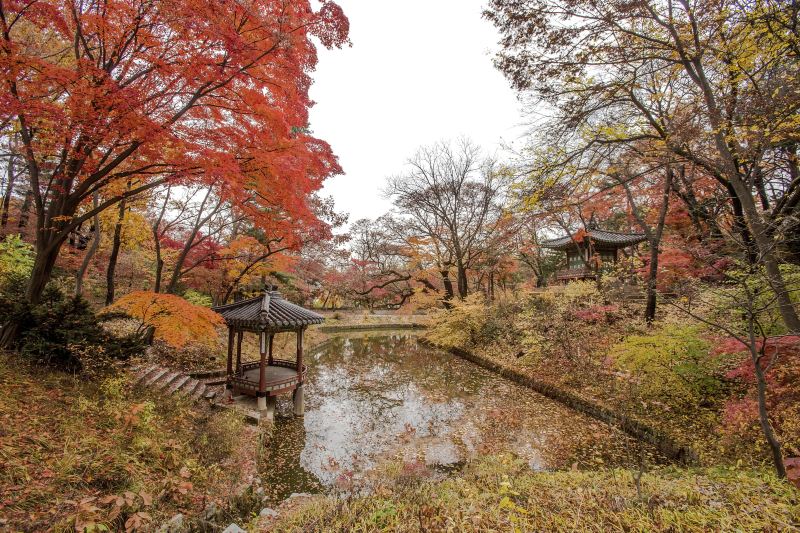 Secret Garden, Seoul