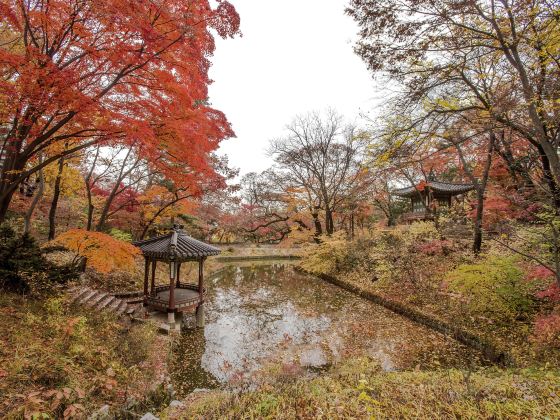 昌徳宮 後苑