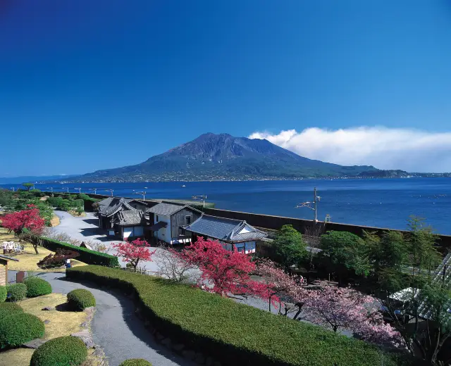Volcano Views in Kagoshima