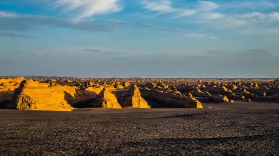 西海艦隊(壟崗狀雅丹)