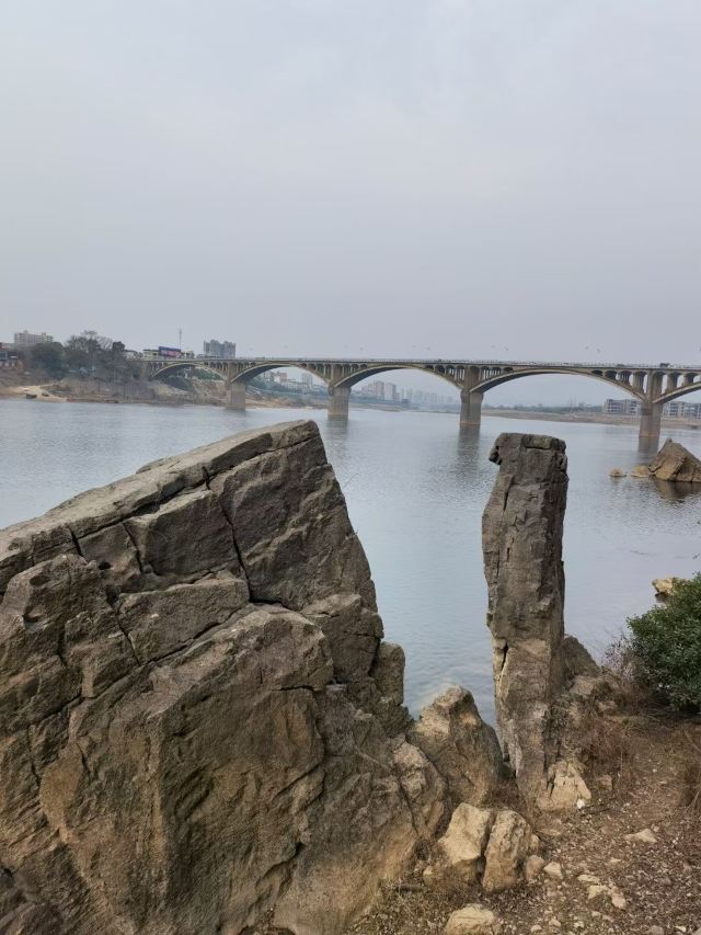 오계비림