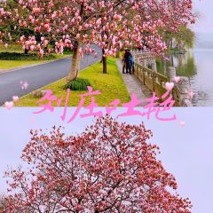 杭州西湖国宾馆·西湖第一名园·宽馀茶庄 User Photo