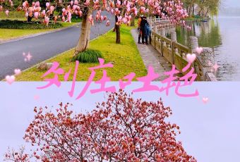 杭州西湖国宾馆·西湖第一名园·宽馀茶庄 user photo