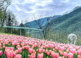 Tianfu Flower Valley