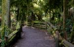 Doi Inthanon National Park