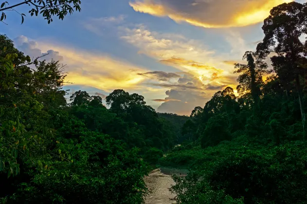 5-звездочные отели в г. Мяньян