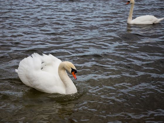 Windermere