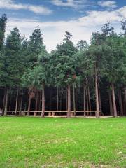 四川拾雲營地