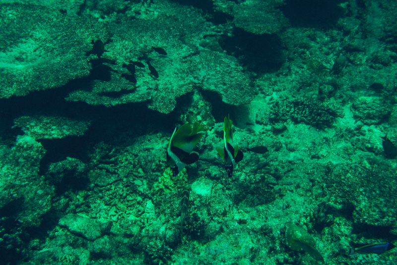 上海海洋水族館