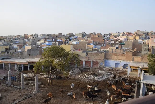 Hotel di Bikaner