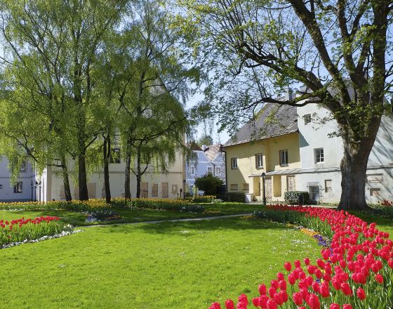 韋爾斯 自由行套票