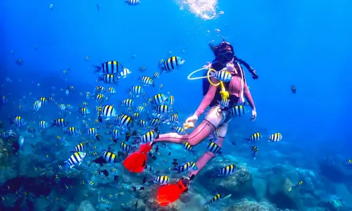 Diving in Sanya