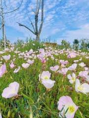 台州灣濕地公園