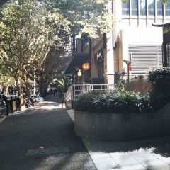 Wagas沃歌斯（番禺路店）張用戶圖片