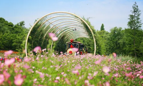 同裏國家濕地公園