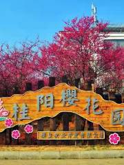 Guiyang Cherry Blossom Garden
