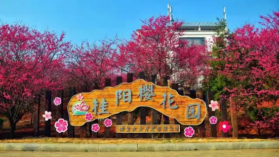 桂陽櫻花園