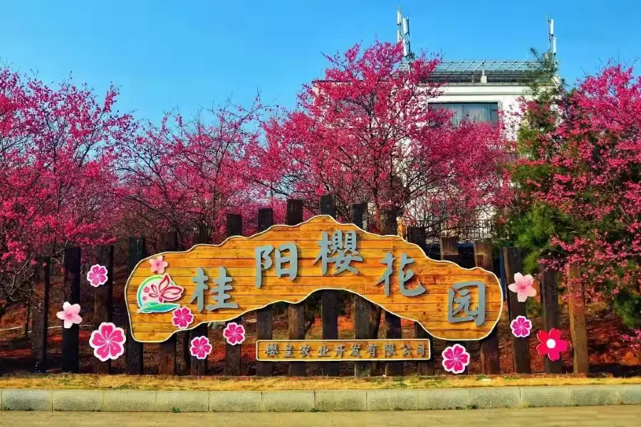 桂陽櫻花園