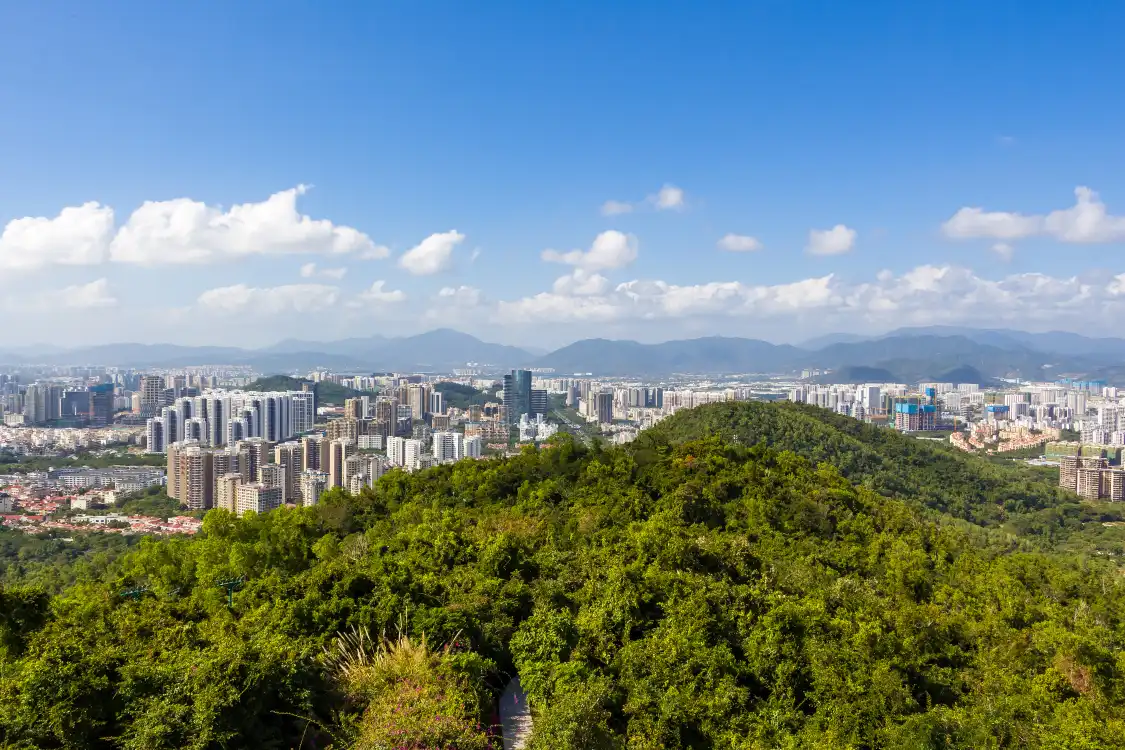 임춘령 산림공원 주변 호텔