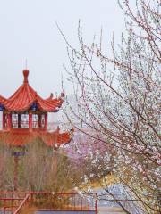 Laohu Mountain Ecology Park