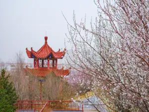 老虎山生態公園