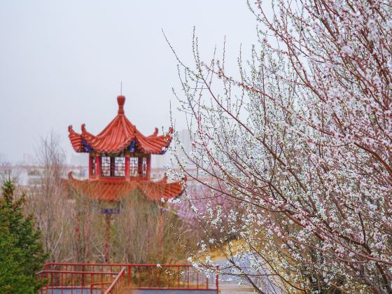 Laohu Mountain Ecology Park