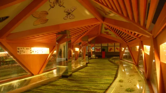 Qinghai-Tibetan Plateau Nature Museum