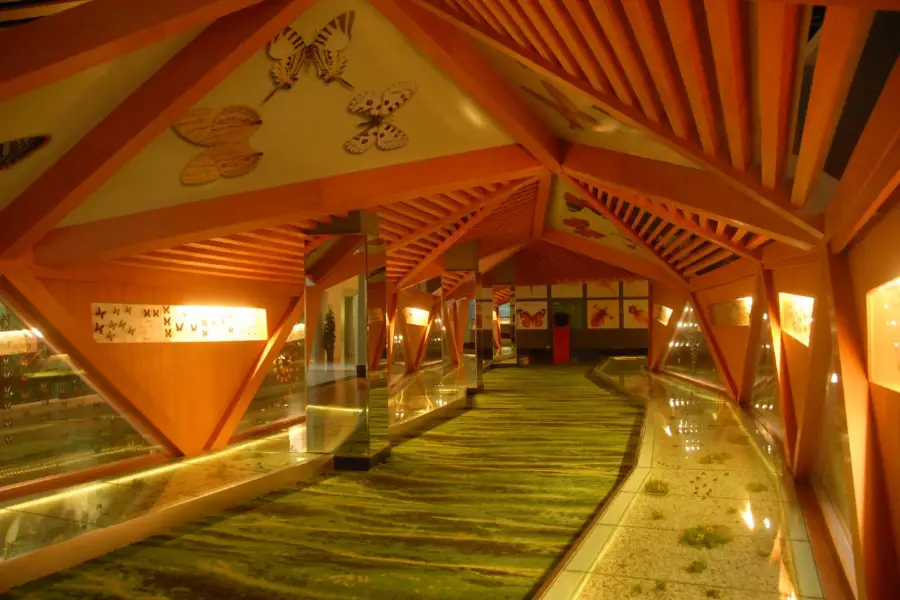 Музей естественной природы на плато Цинхай