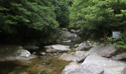 白谷雲水峽，是一個蒼茂繁翠的森林公園！生長着很多的雪松，年代