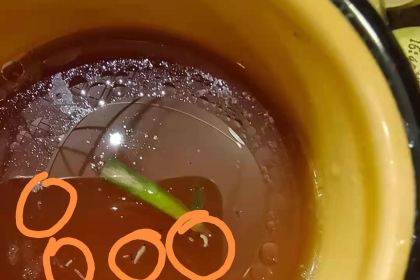 强记清汤黄牛肉·涮烤一体(吉庆路店)