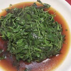 五豐食府（原五豐烤鴨館）(錫城悠久烤鴨館)張用戶圖片