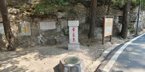 苦苣泉