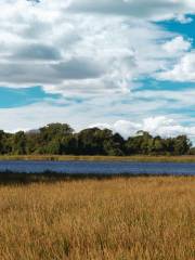 Eastern Neck National Wildlife Refuge