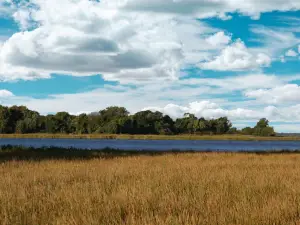 Eastern Neck National Wildlife Refuge