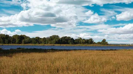 Eastern Neck National Wildlife Refuge