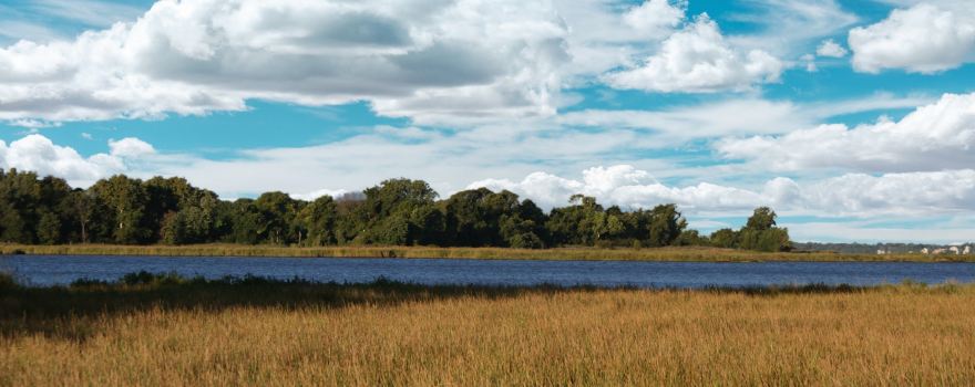 Eastern Neck National Wildlife Refuge